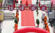 一杯家乡酒，千年秦城韵——“秦城坊”品牌背后的匠心故事
