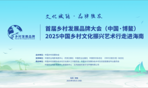 怀仁陶瓷e镇亮相博鳌乡村发展品牌推介会：以数字赋能传统工艺，助力乡村振兴