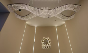 端博士PQQ-在世界抗衰科技的“擂台”上用实力铸就的中国品牌